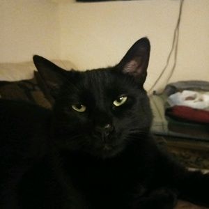 Meet your Posher, Christopher